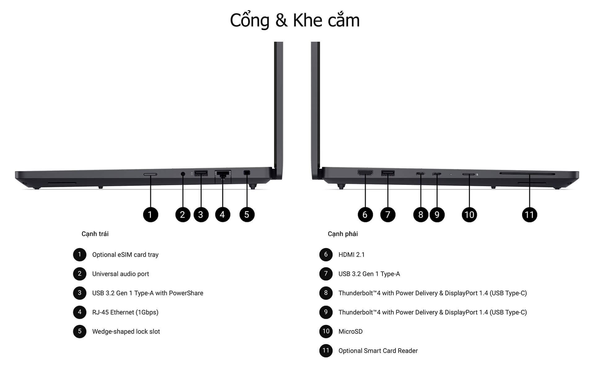Pin, nhiệt độ và tiếng ồn có đáng lo khi chạy tác vụ nặng? Pin, nhiệt độ và tiếng ồn có đáng lo khi chạy tác vụ nặng?