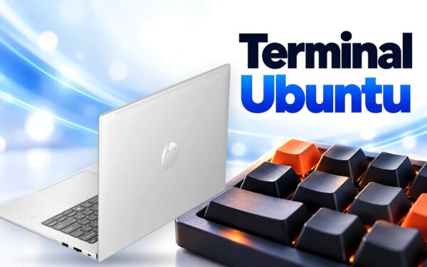Lệnh terminal trên Linux - 5 nhóm lệnh nên hiểu bản chất thay vì học thuộc